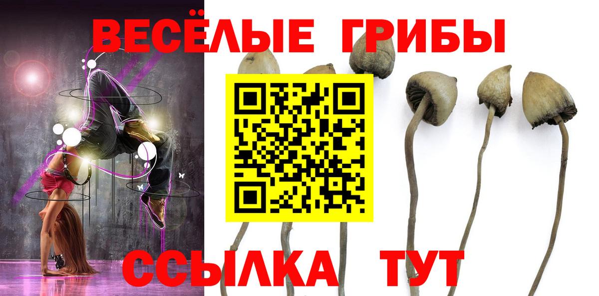 магазин продажи   Псилоцибиновые грибы GOLDEN TEACHER  Вход с VPN  Ишим 