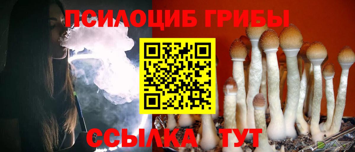 Галлюциногенные грибы Psilocybine cubensis Ишим
